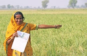 Read more about the article Pakistan: Helping the landless become landowners